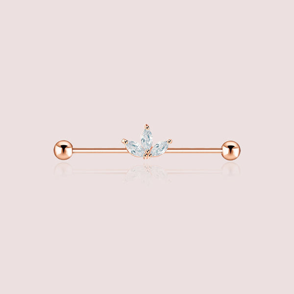 barre-piercing-industriel